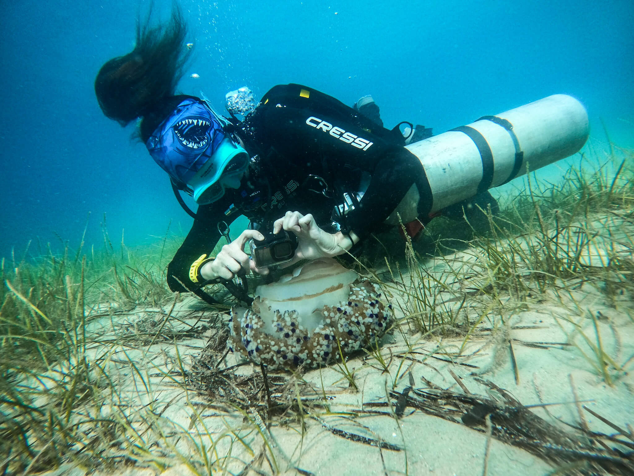 Read more about the article Underwater Photographer